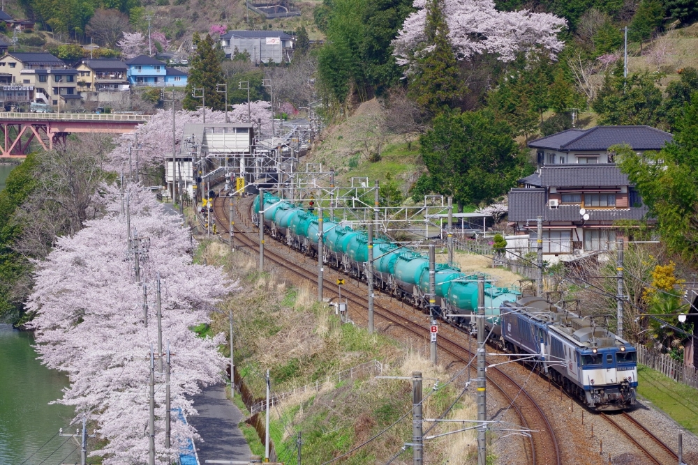 『落合川の春 2021』8084列車 EF641018+1046 中央本線落合川 2021.4.1