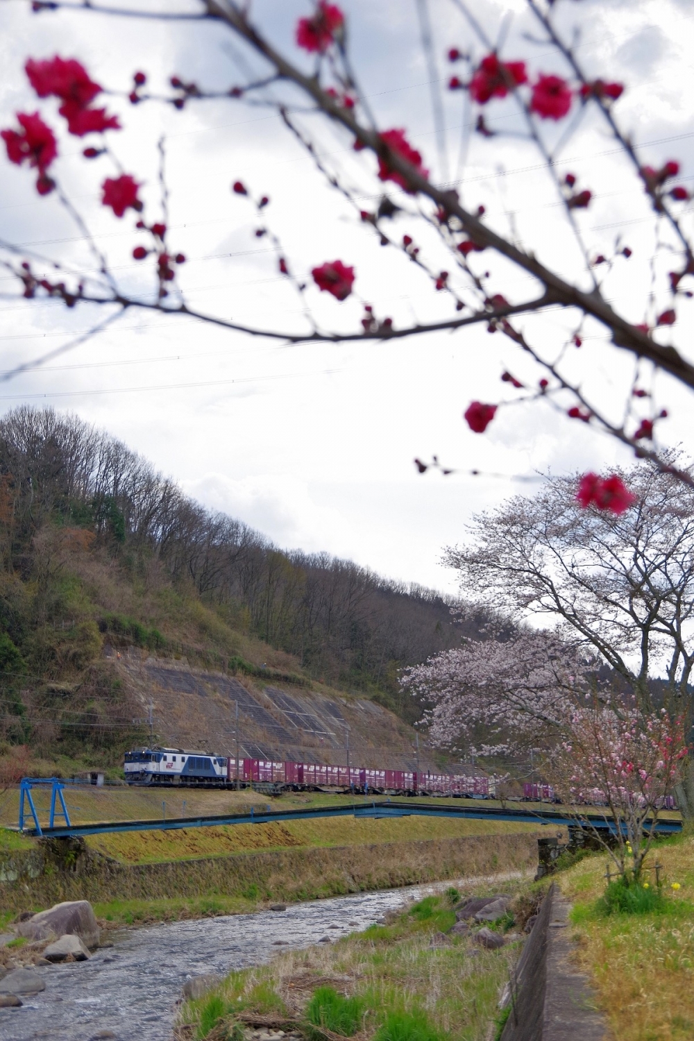 『東濃花曇り』81列車 EF641036 中央本線釜戸 2019.4.12