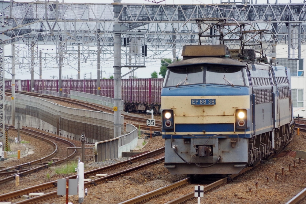 『大カントを行く』3091列車 EF6636+EF66100番台 枇杷島 2014.8.2