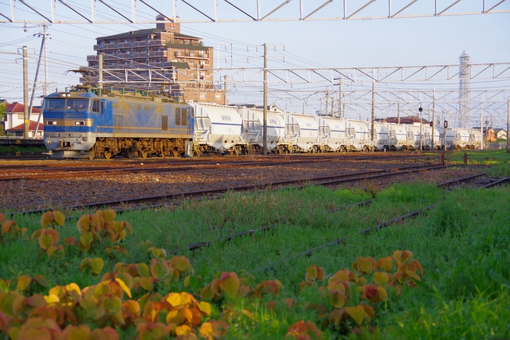 『朝日を受けて』5580列車 EF510-512 清洲 2021.4.7