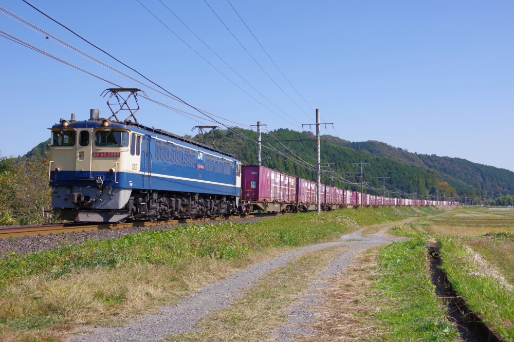 『秋晴れの勾配緩和線を行く 2023』5087列車 EF652089 東海道本線関ヶ原 2023.11.1