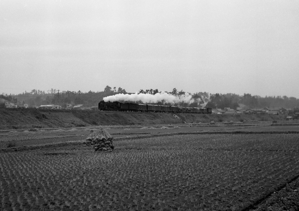 『藁塚寒し』289列車 D51 朝明(信) 1969.2.4