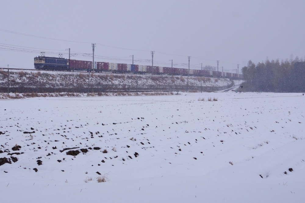 『雪の湖南を行く』5087列車 EF652085 東海道本線篠原 2025.2.9