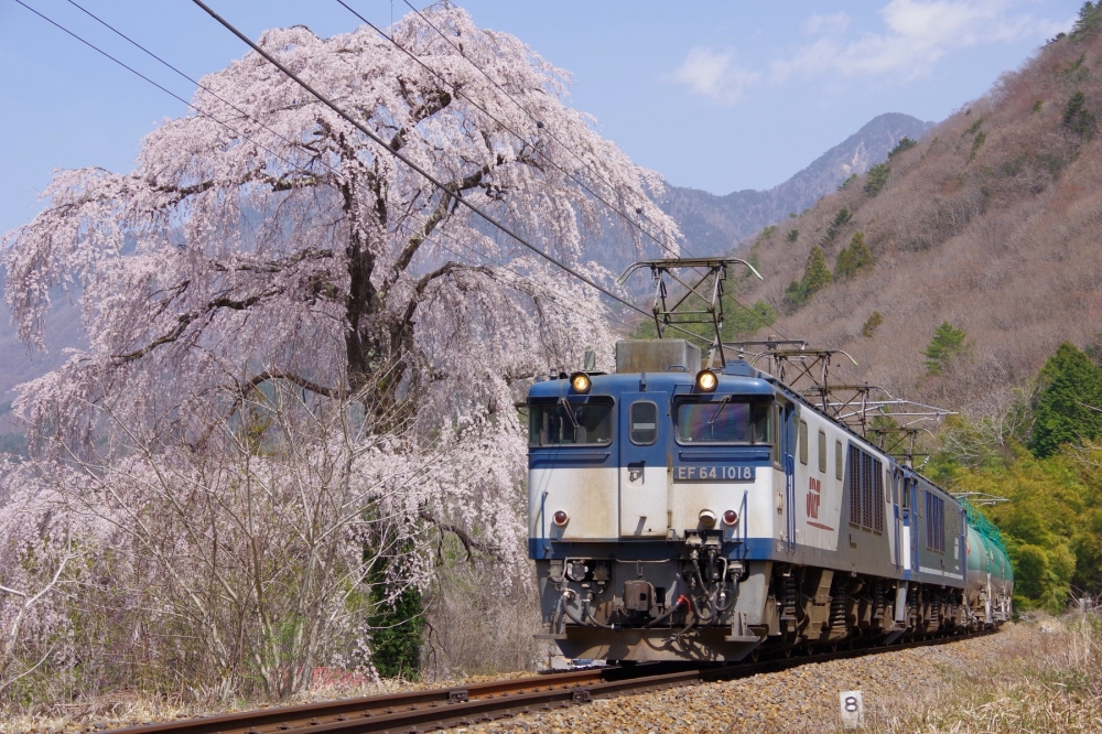 『木曽谷春爛漫』8084列車 EF641018+1046 中央本線須原 2021.4.1