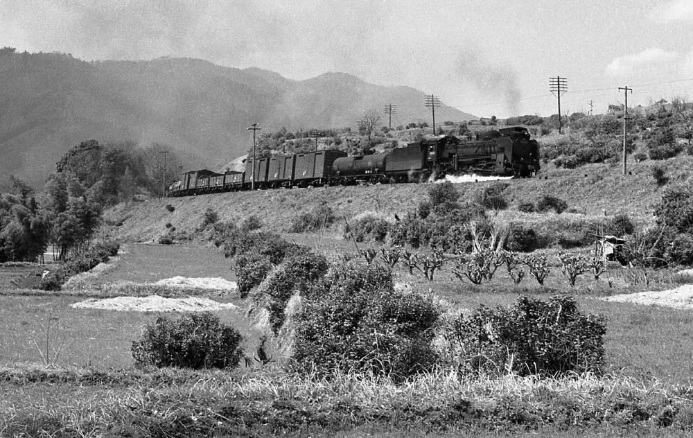 『春の木曾谷を行く』8671列車 D51495 田立 1971.4.4