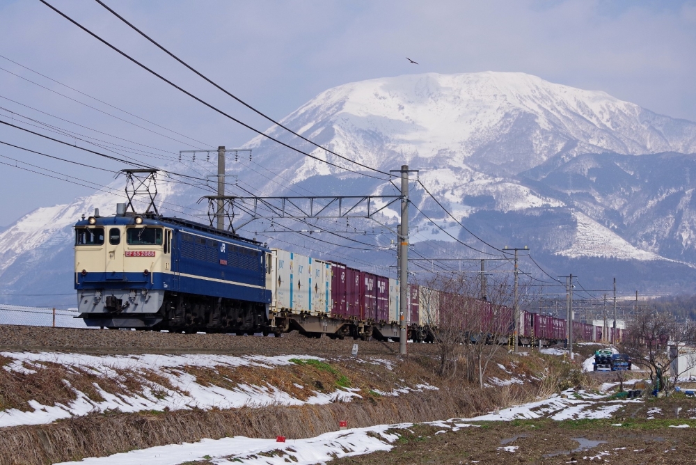 『純白の伊吹をバックに』5087列車 EF652086 東海道本線近江長岡 2025.2.27