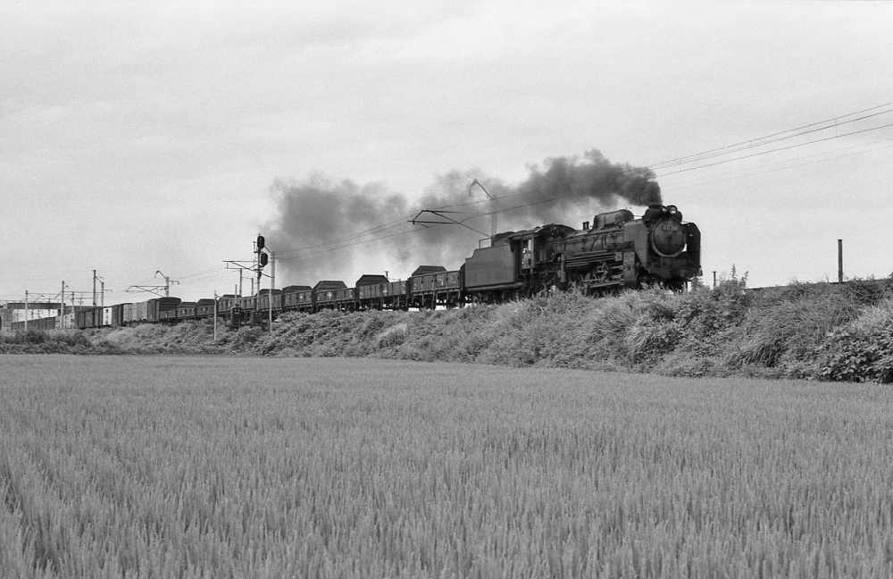 658列車 D51296···466 奥羽本線石川 1971.8.12