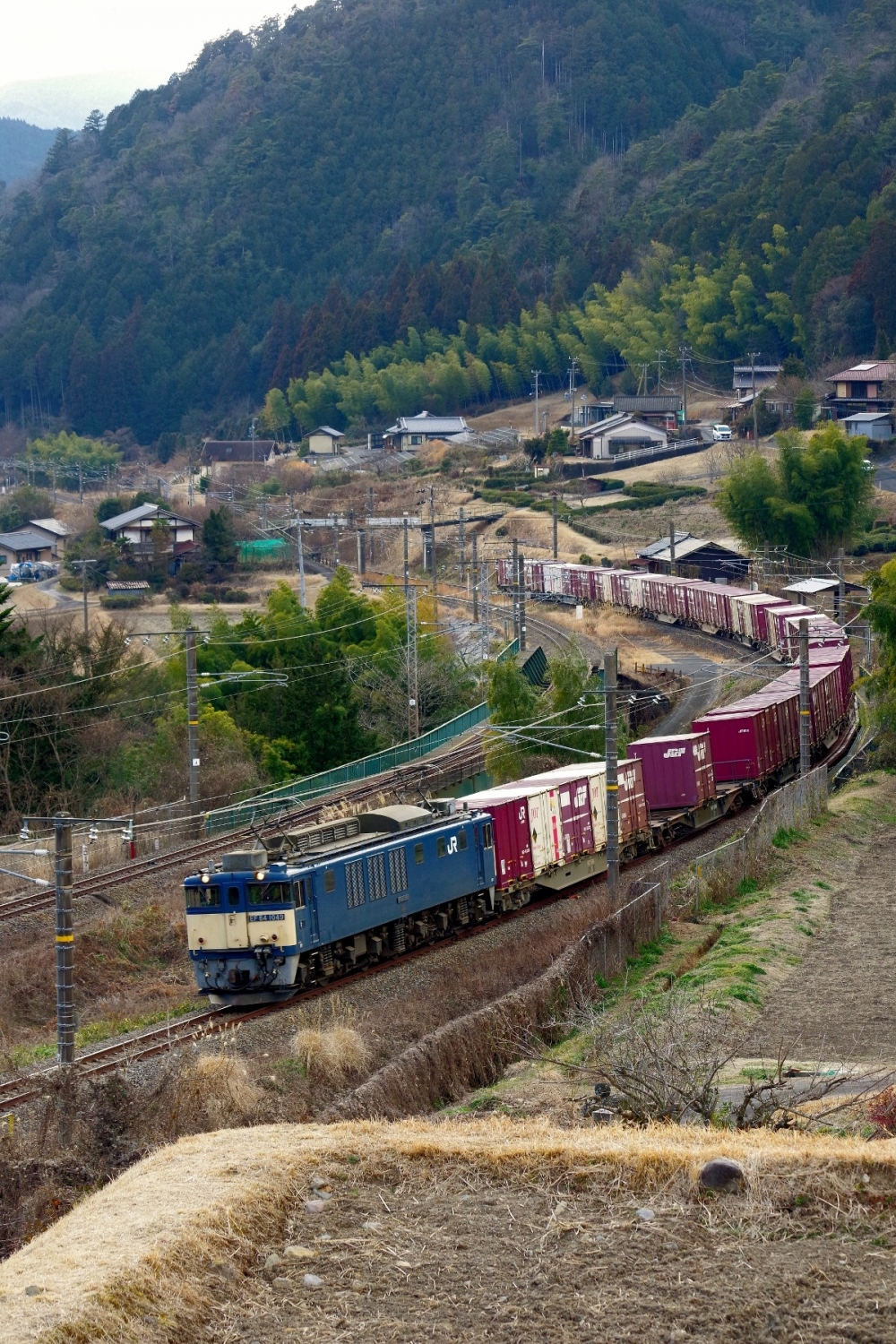 『田立の丘より』81列車 EF641049 中央本線田立 2026.2.22